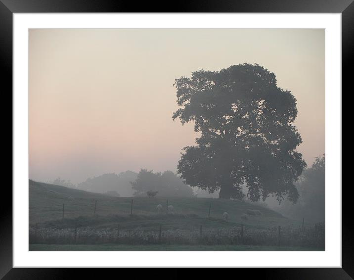 Early dawn light Framed Mounted Print by Ralph Jackson