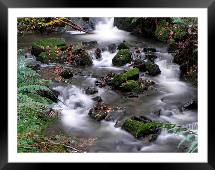 Autumn stream Framed Mounted Print by Ralph Jackson