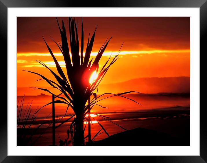 Golden sunrise silhouettes Framed Mounted Print by adrian shirkey