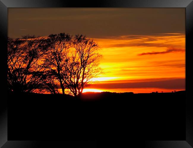 Lovely Sunset Just Passed Windmill Framed Print by adrian shirkey