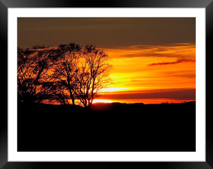 Lovely Sunset Just Passed Windmill Framed Mounted Print by adrian shirkey