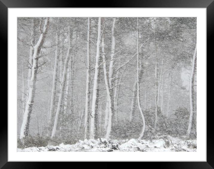           Snow storm in Derbyshire Framed Mounted Print by Gerald Robinson