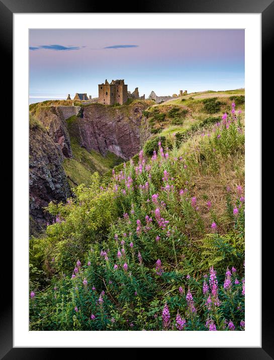 Summer at Dunnottar Castle Framed Mounted Print by Dave Bowman