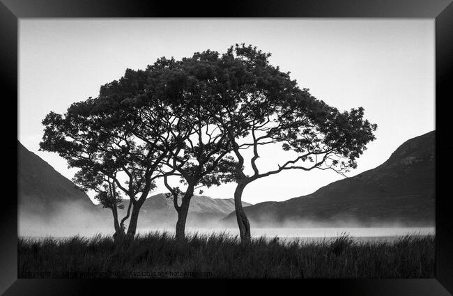 Morning Mist over Crummock Water Framed Print by Dave Bowman