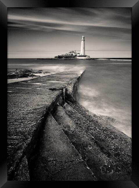 Path to St Mary's Lighthouse Framed Print by Dave Bowman