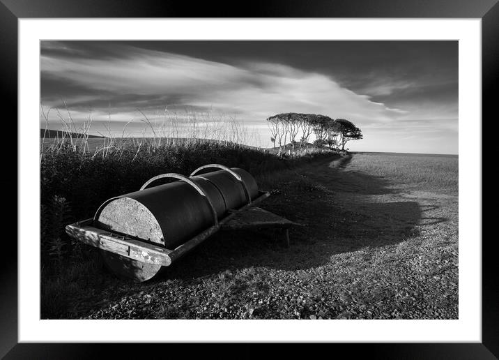 Crawton Field Roller Framed Mounted Print by Dave Bowman