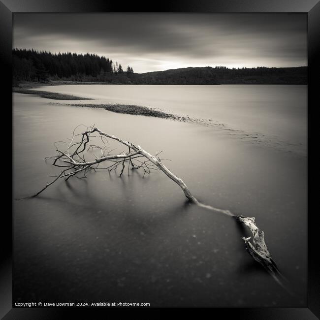 Loch Avich Branch Framed Print by Dave Bowman
