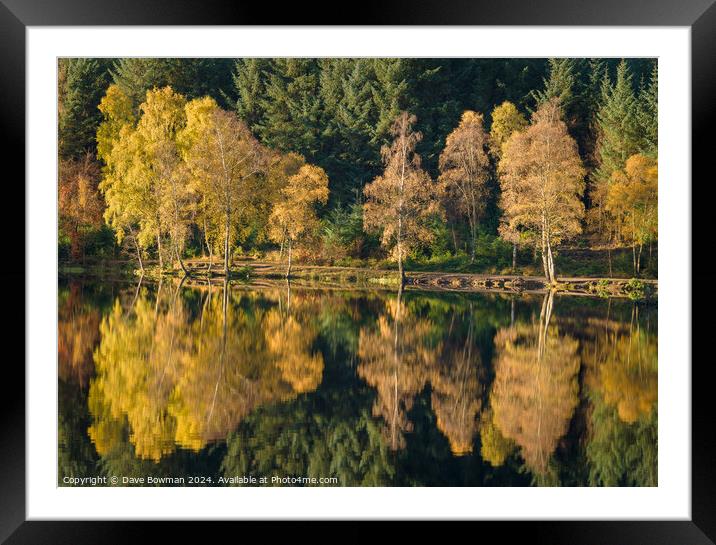 Autumn on Glencoe Lochan Framed Mounted Print by Dave Bowman