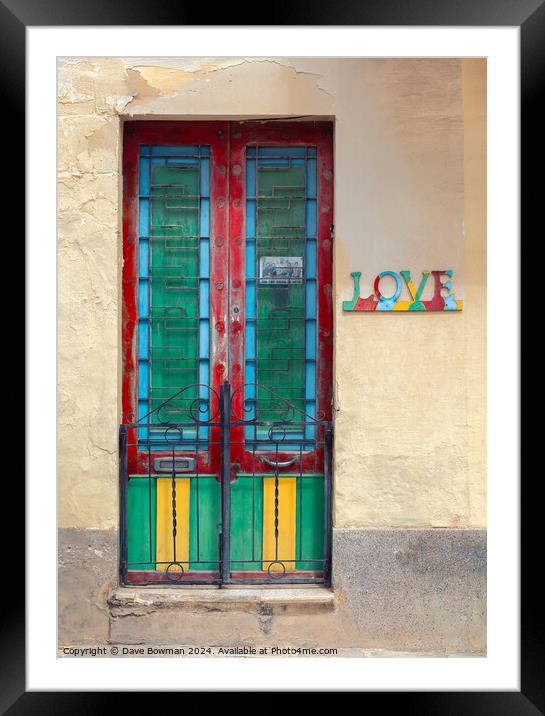 Maltese Love Framed Mounted Print by Dave Bowman