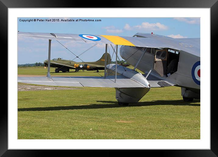 Boeing B17 Sally B and DH Rapide in the sunshine Framed Mounted Print by Peter Hart