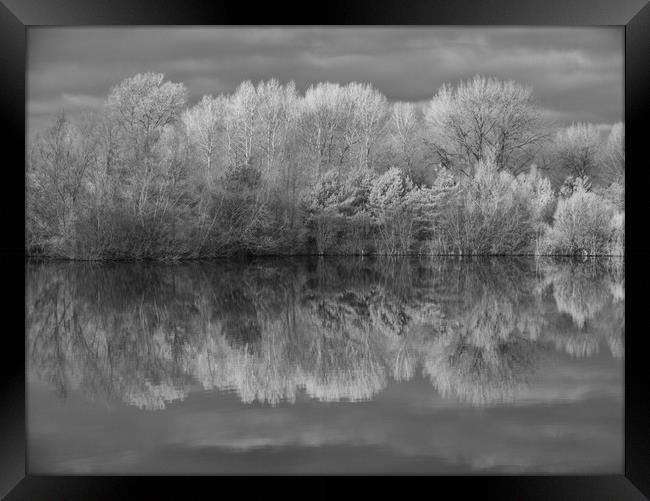 Infrared Reflections Framed Print by Sarah Pymer