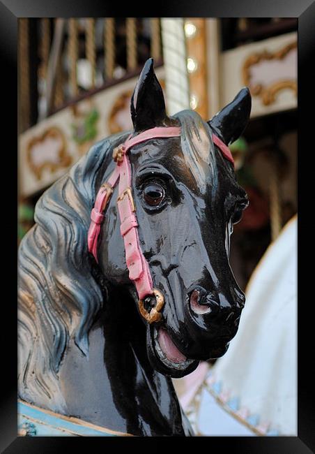 Carousel Horse 3 Framed Print by Lynette Holmes