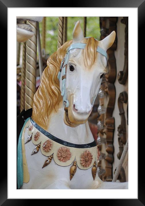 Carousel Horse 4 Framed Mounted Print by Lynette Holmes