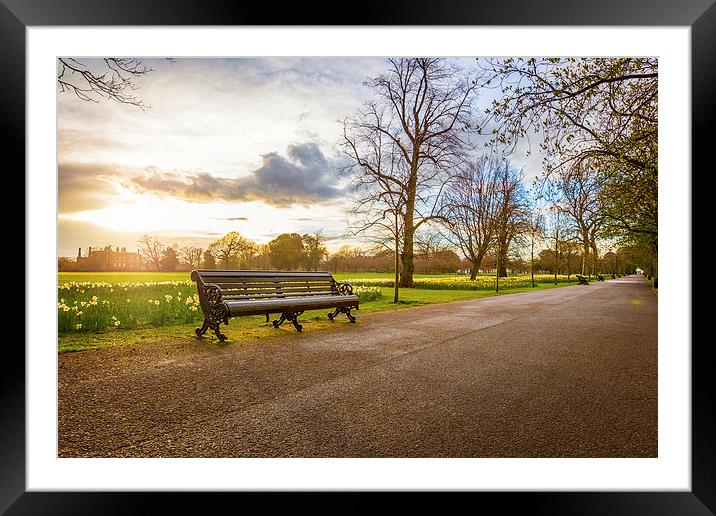  Empty Benches in Greenwich Park Framed Mounted Print by John Ly