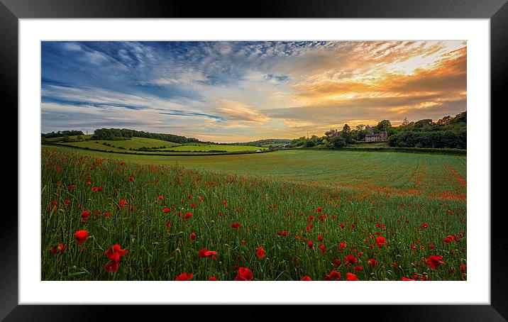  Sunset on Poppy Field Framed Mounted Print by John Ly