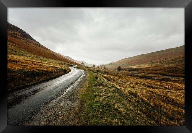 Country Road in the Lake District Framed Print by John Ly