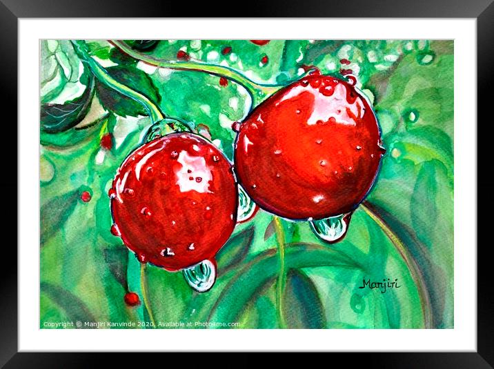 Red ripe Cherries in the orchard watercolor painti Framed Mounted Print by Manjiri Kanvinde