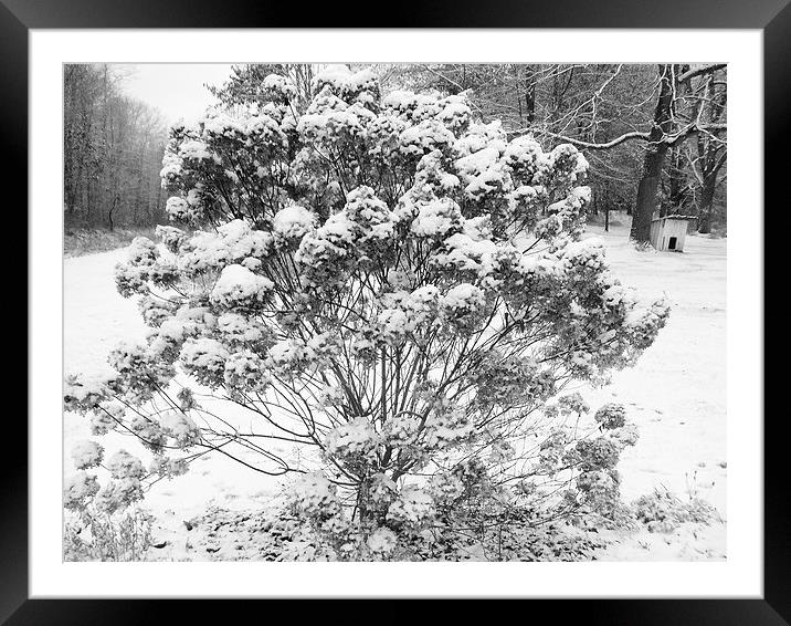 Winter has taken hold. Framed Mounted Print by Jeffrey Evans