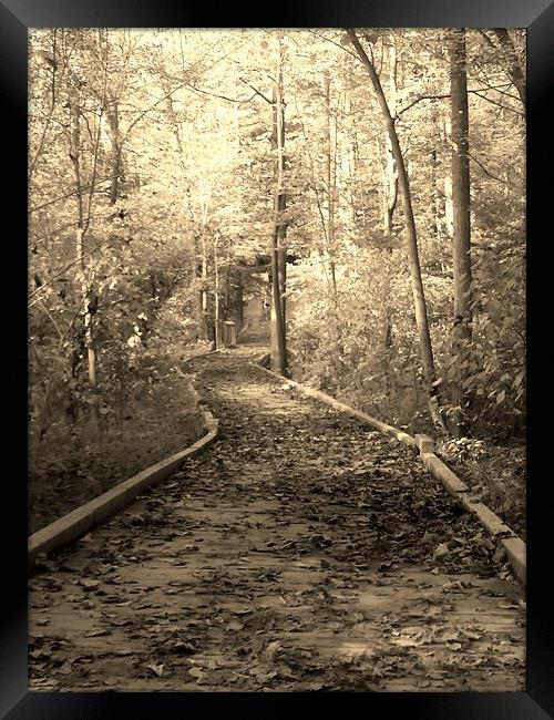 Beautiful fall walk. Framed Print by Jeffrey Evans