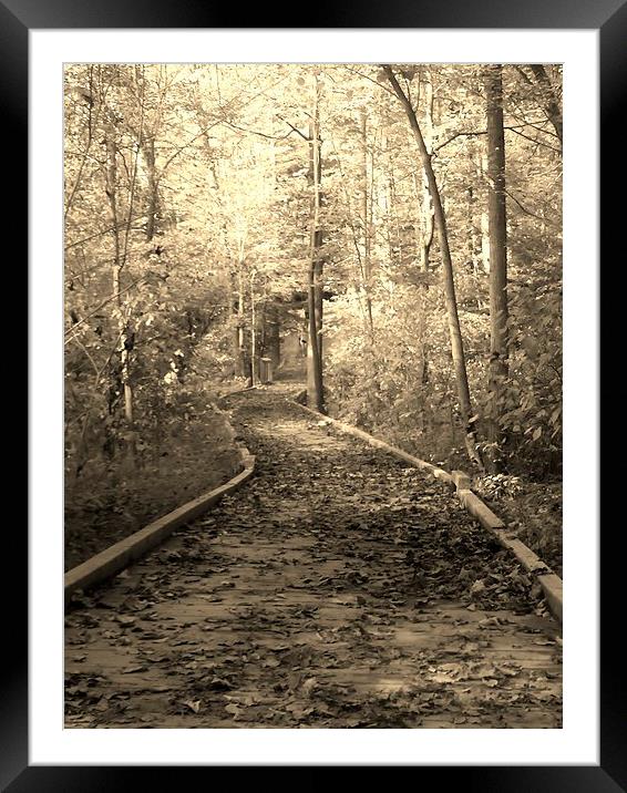 Beautiful fall walk. Framed Mounted Print by Jeffrey Evans