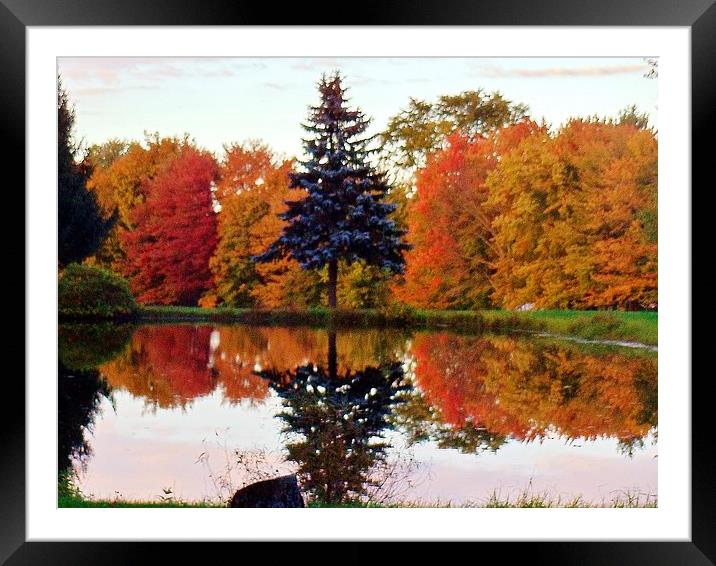 Reflections on the pond. Framed Mounted Print by Jeffrey Evans