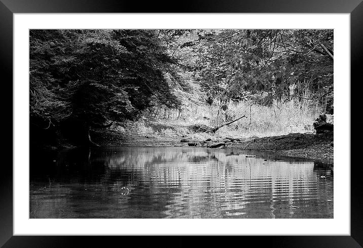 Ripples on a Autumn Stream Framed Mounted Print by Jeffrey Evans