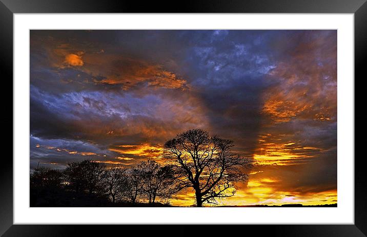Trees at Sunset Framed Mounted Print by Eric Watson