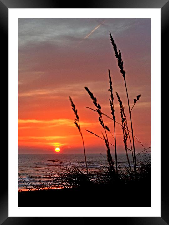 Marram Grass Sunrise Framed Mounted Print by Eric Watson