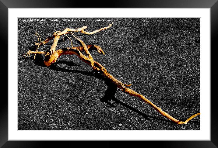 On the Shore Framed Mounted Print by Graham Beerling