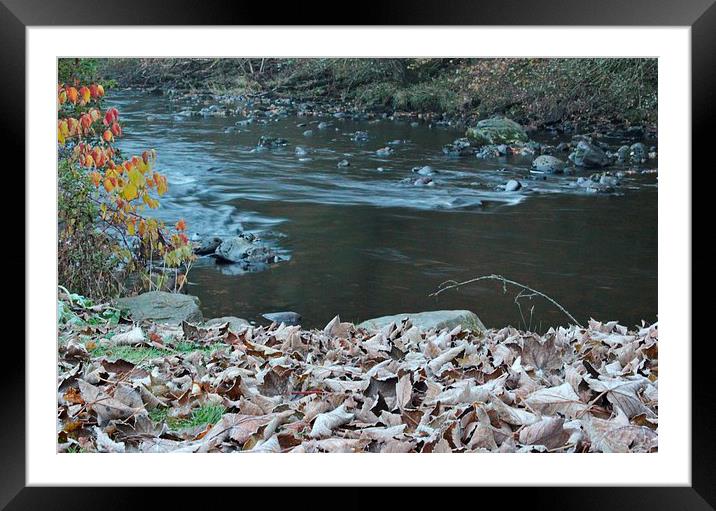 Frosty Leaves, River Ardle Framed Mounted Print by Claire Colston
