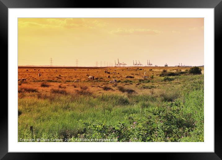 Isle of Grain Horses Framed Mounted Print by Claire Colston