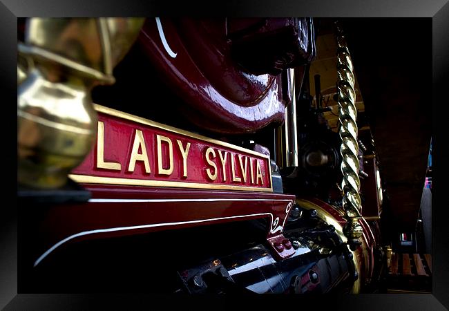 Lady Sylvia Framed Print by Andy Davis