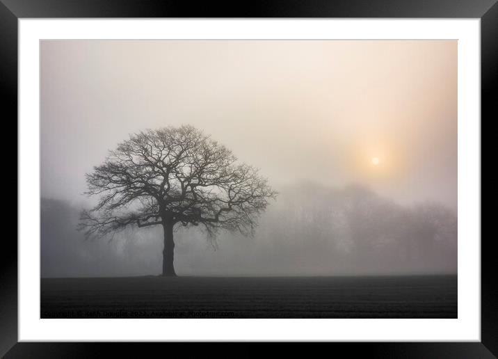 Tree silhouette in the fog Framed Mounted Print by Keith Douglas
