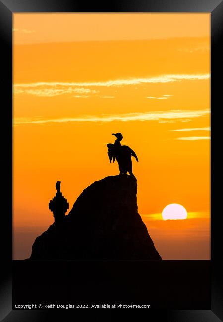 Morecambe Cormorants at Sunset Framed Print by Keith Douglas