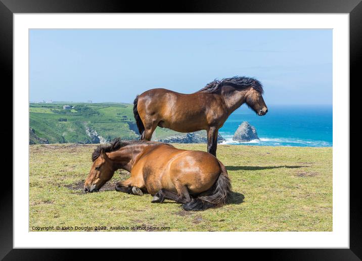Two horses at Willapark, Cornwall Framed Mounted Print by Keith Douglas