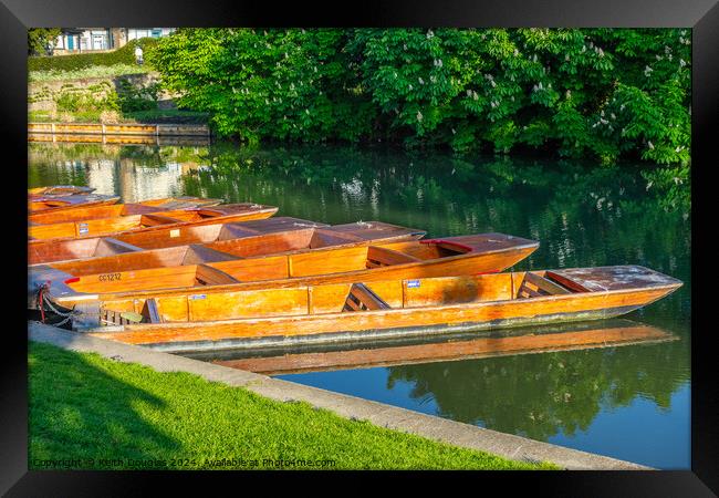 Punts moored on the River Cam in Cambridge Framed Print by Keith Douglas