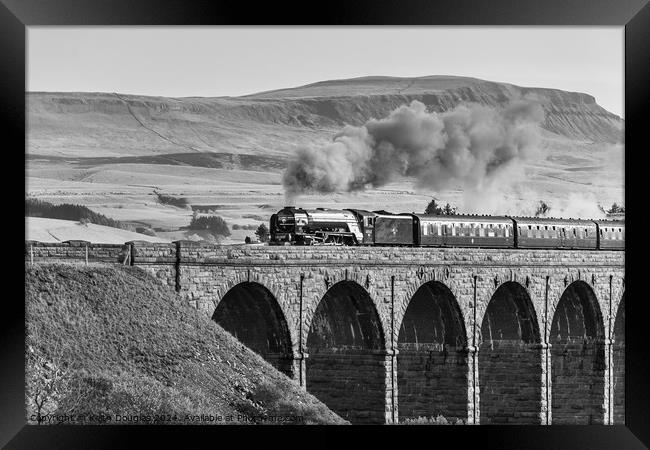 Tornado Steam Locomotive on the Ribblehead Viaduct Framed Print by Keith Douglas