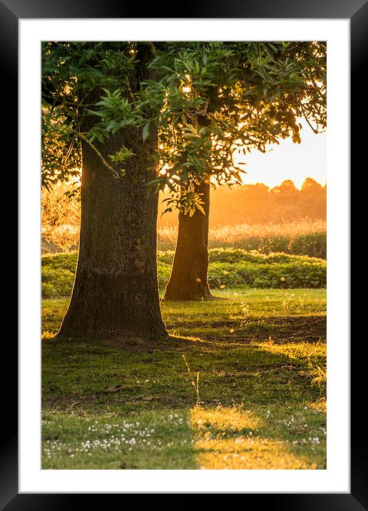  Sunset by the Meadow Framed Mounted Print by Keith Douglas