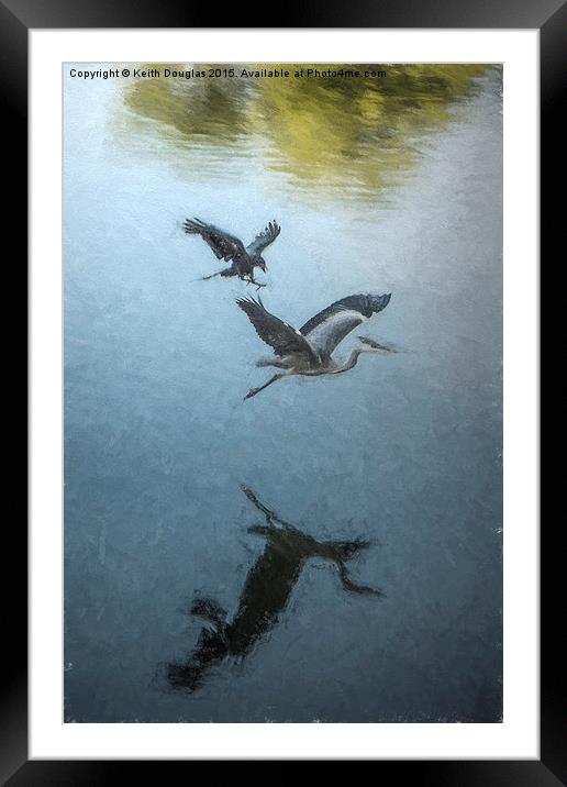  The Heron and the Crow Framed Mounted Print by Keith Douglas