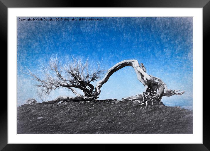  Clinging on Framed Mounted Print by Keith Douglas
