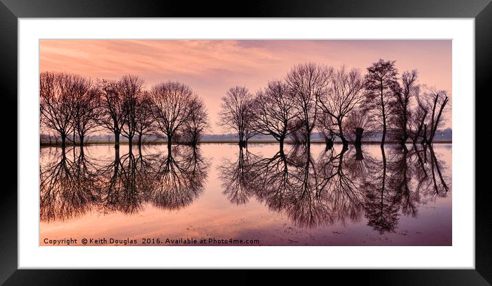 Tree Reflections Framed Mounted Print by Keith Douglas
