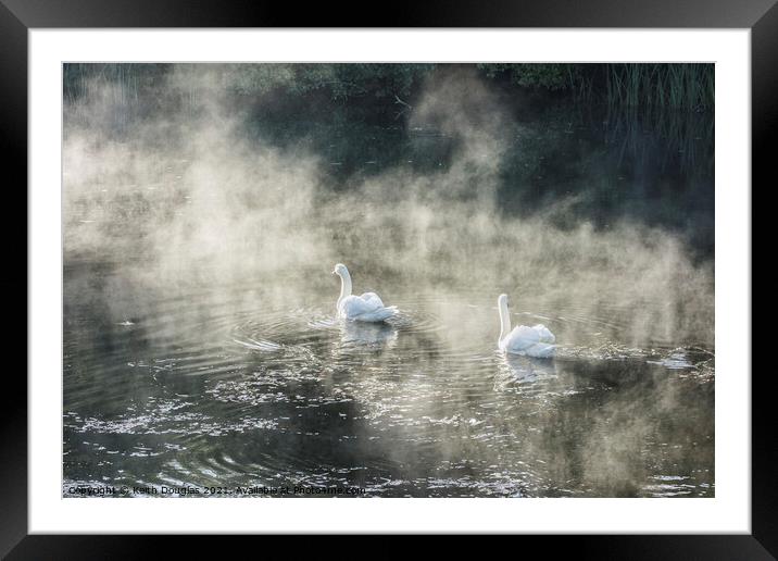 Swans in Mist Framed Mounted Print by Keith Douglas