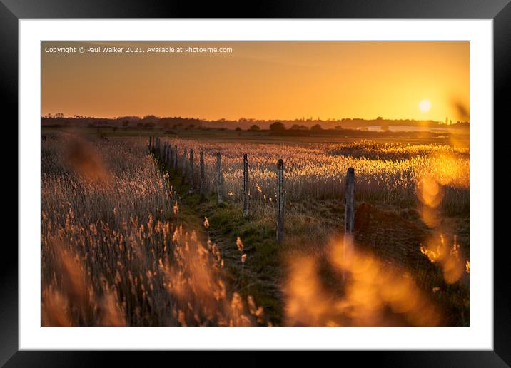 Sunset field Framed Mounted Print by Paul Walker