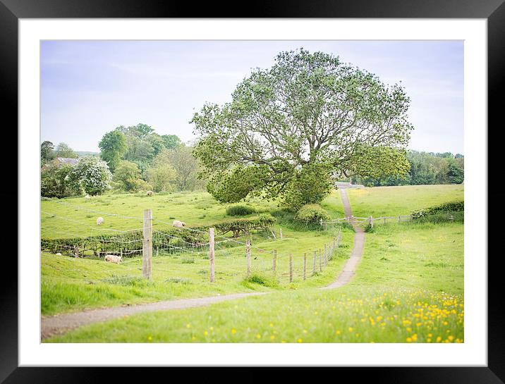  English Countryside Framed Mounted Print by Paul Walker