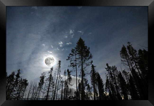 Full moon shining through the broken wood Framed Print by Mick Surphlis