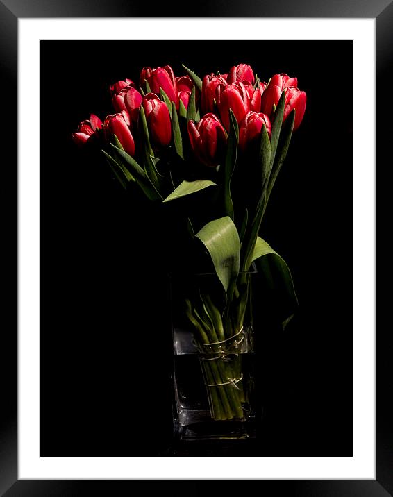 Red tulips in the vase Framed Mounted Print by Laco Hubaty