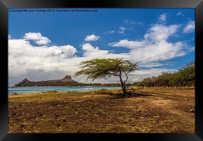 Tree & Pigeon island Framed Print by Laco Hubaty