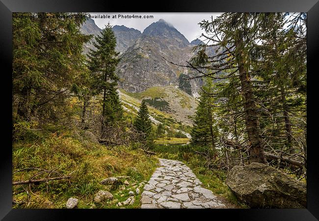 Trail to the mountain Framed Print by Laco Hubaty