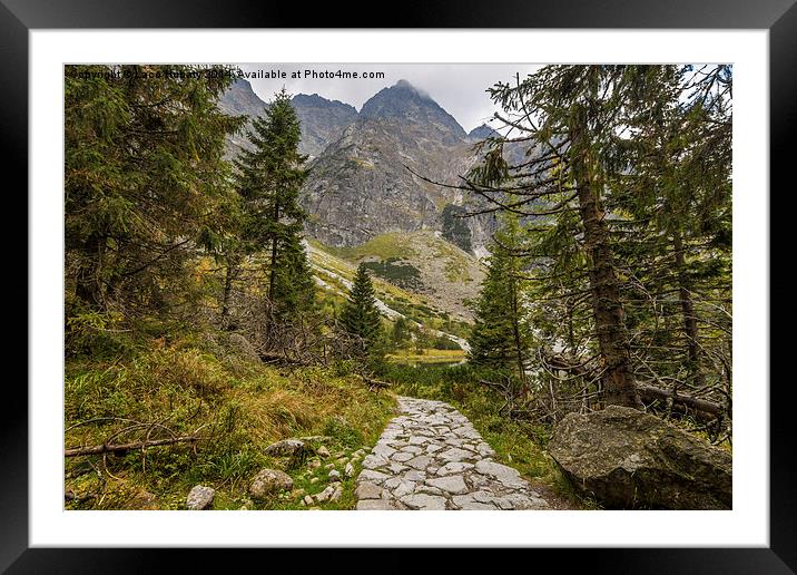 Trail to the mountain Framed Mounted Print by Laco Hubaty