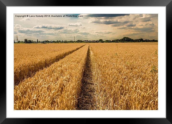 Lines in golden field Framed Mounted Print by Laco Hubaty
